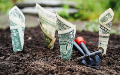 Comprendre la taxe d’apprentissage